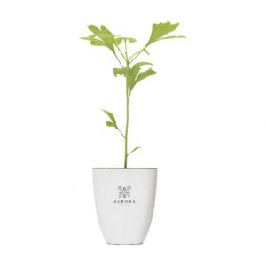 Plante personnalisé