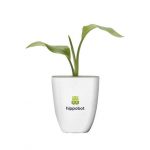 Plante personnalisé