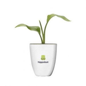 Plante personnalisé