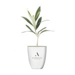 Plante personnalisé