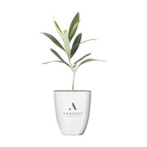 Plante personnalisé