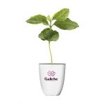 Plante personnalisé