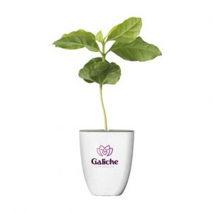Plante personnalisé