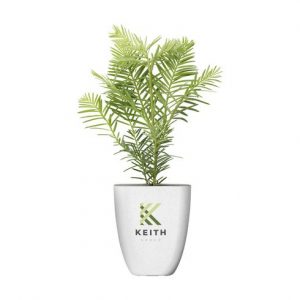 Plante personnalisé