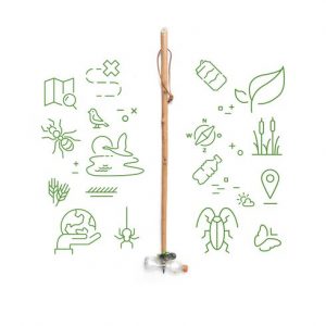 Bâton de marche en bois personnalisé
