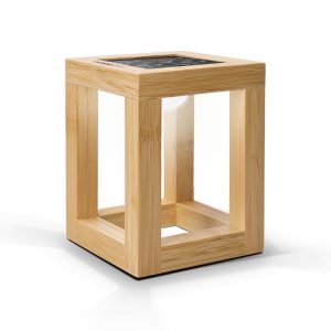 Lampe LED d'ambiance solaire personnalisé