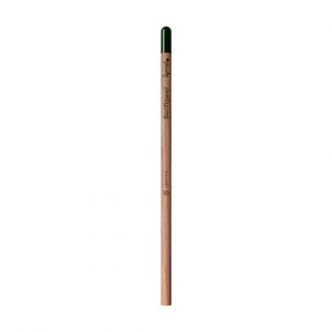 Crayon à planter personnalisé