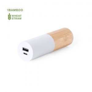 Power bank pulicaire
