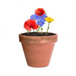Fleurs publicitaire