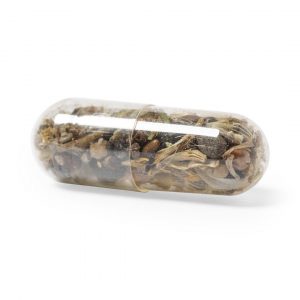 Capsule de Graine publicitaire