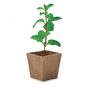 Pot à graines personnalisable