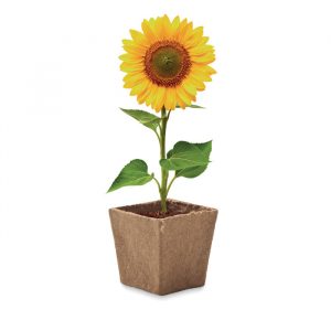 Pot à graines personnalisable