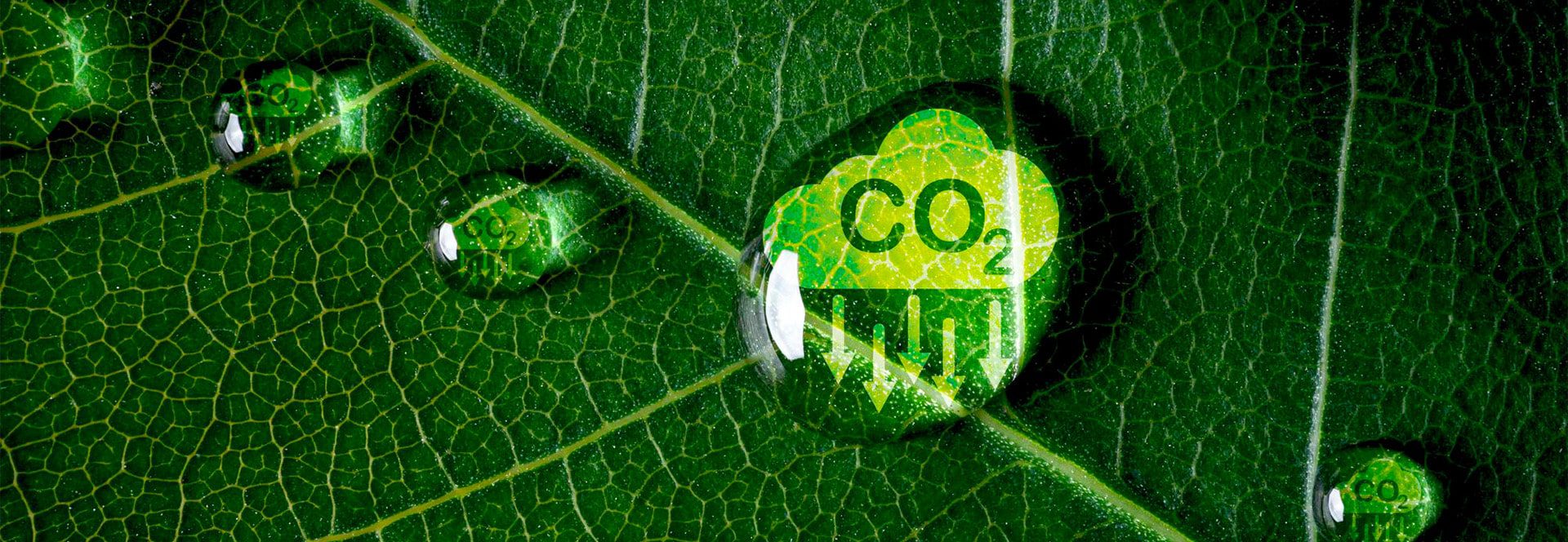 H1_Qu-est-ce-que-lempreinte-carbone